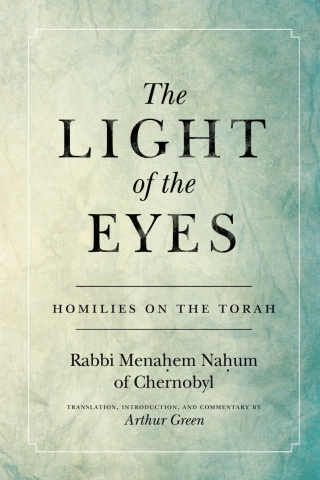 Cover image: The Light of the Eyes 1st edition 9781503609853