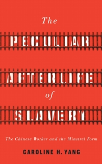 Omslagafbeelding: The Peculiar Afterlife of Slavery 1st edition 9781503610378