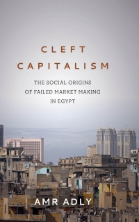 Omslagafbeelding: Cleft Capitalism 1st edition 9781503612204