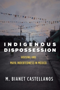 Cover image: Indigenous Dispossession 1st edition 9781503603288