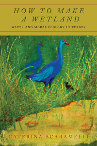 صورة الغلاف: How to Make a Wetland 1st edition 9781503615403