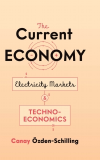 Cover image: The Current Economy 1st edition 9781503612273