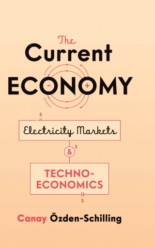 Cover image: The Current Economy 1st edition 9781503612273
