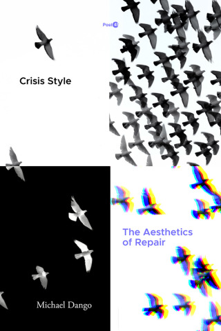 Imagen de portada: Crisis Style 1st edition 9781503615052