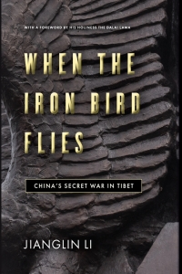 Cover image: When the Iron Bird Flies 1st edition 9781503615090
