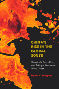 Cover image: China's Rise in the Global South 1st edition 9781503630093