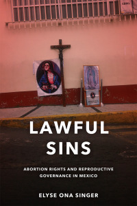 Cover image: Lawful Sins 1st edition 9781503631472