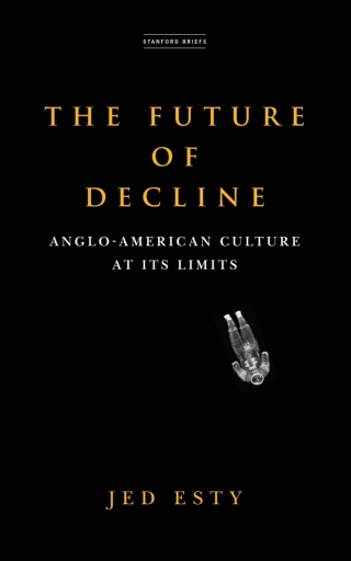 表紙画像: The Future of Decline 1st edition 9781503633315
