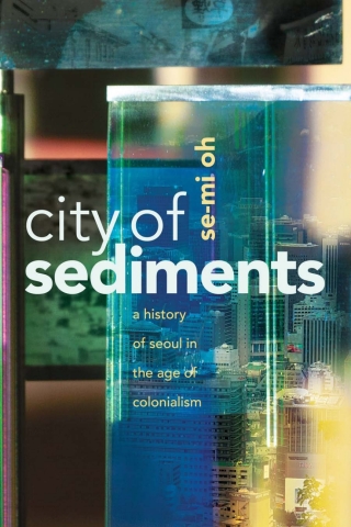 Cover image: City of Sediments 1st edition 9781503634800