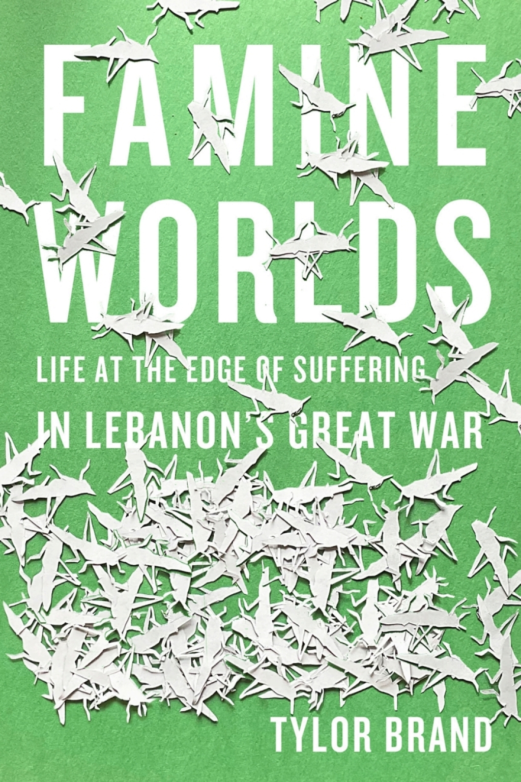 Famine Worlds Life at the Edge of Suffering in Lebanon’s Great War 1st Edition