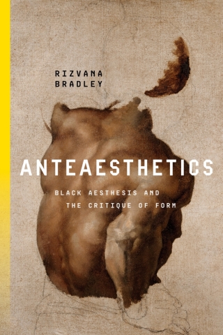 Cover image: Anteaesthetics 1st edition 9781503633025