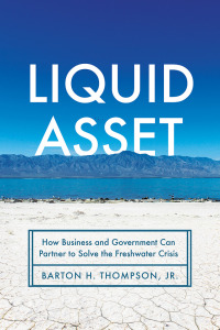 Cover image: Liquid Asset 1st edition 9781503632417