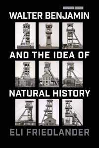 Cover image: Walter Benjamin and the Idea of Natural History 1st edition 9781503637702