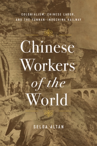Cover image: Chinese Workers of the World 1st edition 9781503638235