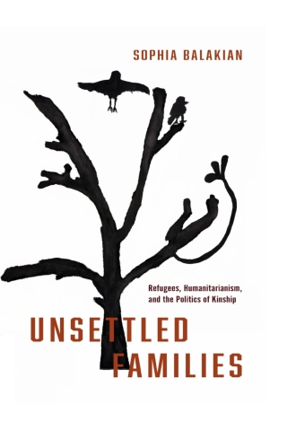 Cover image: Unsettled Families 1st edition 9781503639652
