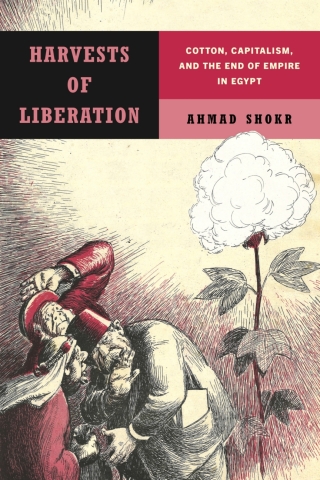 Cover image: Harvests of Liberation 1st edition 9781503640085