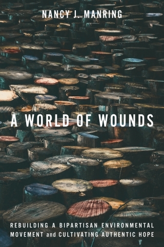 Cover image: A World of Wounds 1st edition 9781503643659