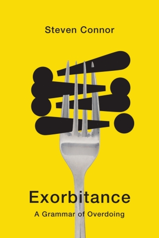 Imagen de portada: Exorbitance 1st edition 9781503646193