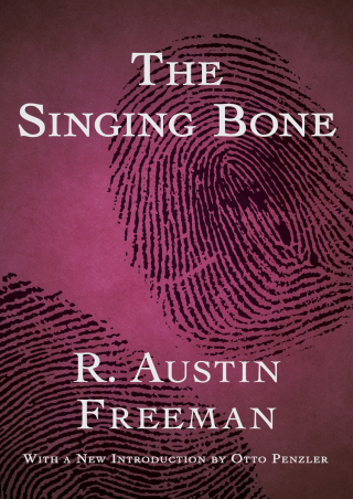 Imagen de portada: The Singing Bone 9781504001458