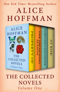 Cover image: The Collected Novels Volume One 9781504002011