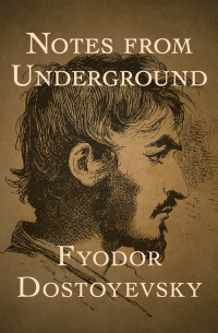 Cover image: Notes from Underground 9781504001595
