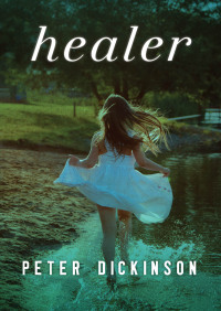 Cover image: Healer 9781504015035