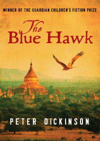 表紙画像: The Blue Hawk 9781504014939