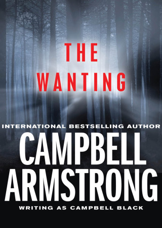Cover image: The Wanting 9781504004046