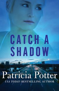 Immagine di copertina: Catch a Shadow 9781504004077