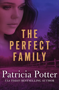 Cover image: The Perfect Family 9781504004107
