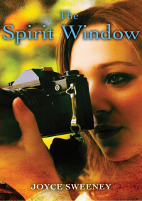 Omslagafbeelding: The Spirit Window 9781504004237