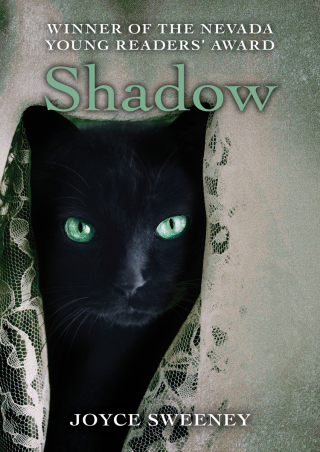 Imagen de portada: Shadow 9781504004251