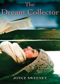 صورة الغلاف: The Dream Collector 9781504004299