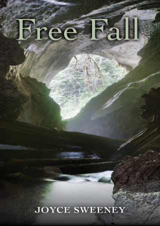 Cover image: Free Fall 9781504004312