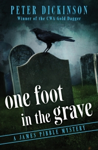 Titelbild: One Foot in the Grave 9781504005050