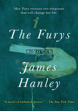 Imagen de portada: The Furys 9781504005807