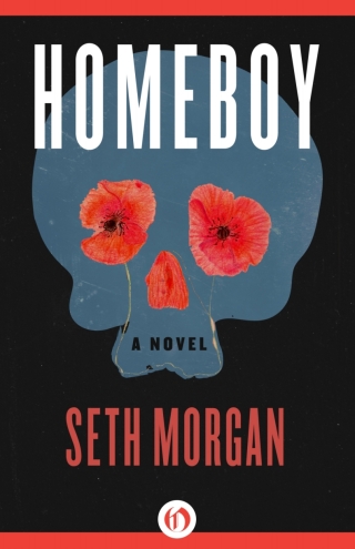 Imagen de portada: Homeboy 9781504005883