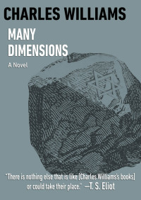 Omslagafbeelding: Many Dimensions 9781504006644