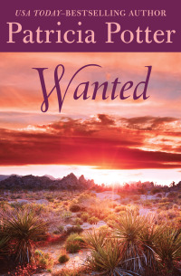 Cover image: Wanted 9781504007009