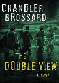 Cover image: The Double View 9781504012164