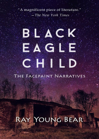 Cover image: Black Eagle Child 9781504014168