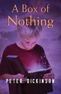 Cover image: A Box of Nothing 9781504014977