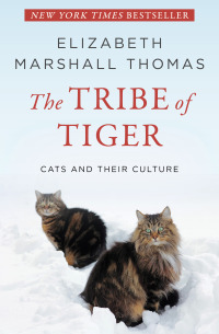 Cover image: The Tribe of Tiger 9781504015578