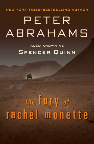 Cover image: The Fury of Rachel Monette 9780671419066