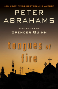 Cover image: Tongues of Fire 9780671464196