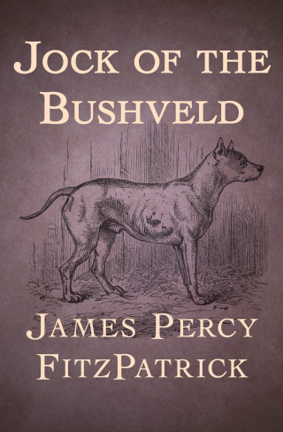 Immagine di copertina: Jock of the Bushveld 9781504016704
