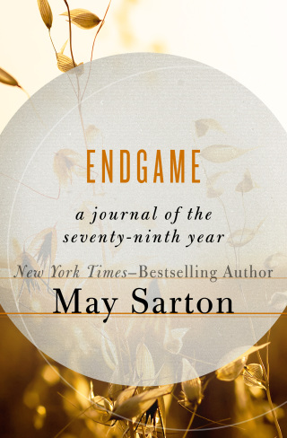 Imagen de portada: Endgame 9781504017947