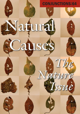 Imagen de portada: Natural Causes 9781504018388