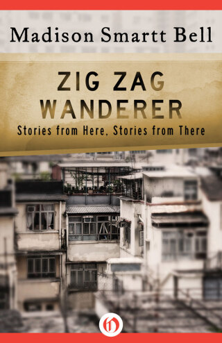 Immagine di copertina: Zig Zag Wanderer 9781504021296