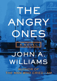 Imagen de portada: The Angry Ones 9781504025911